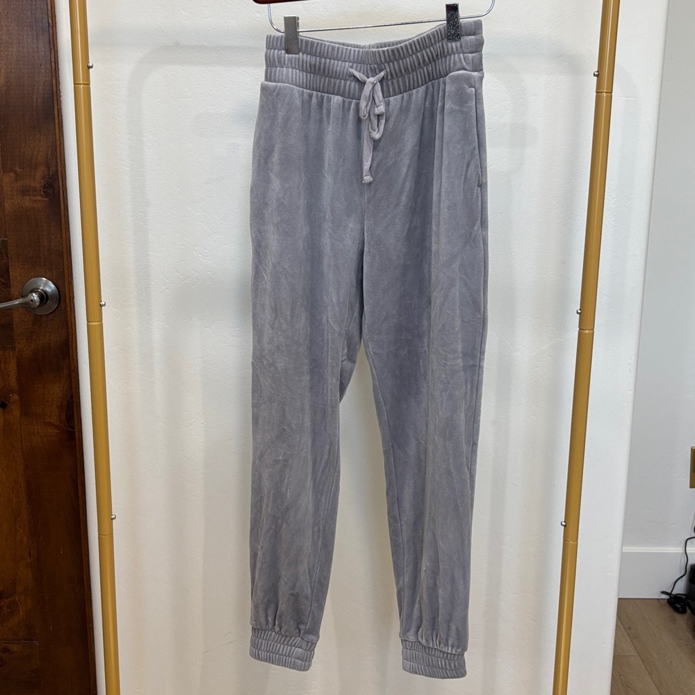 Express Velour Joggers